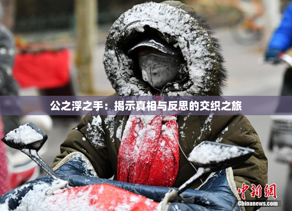 公之浮之手：揭示真相与反思的交织之旅