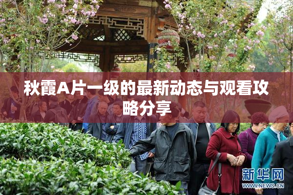 秋霞A片一级的最新动态与观看攻略分享