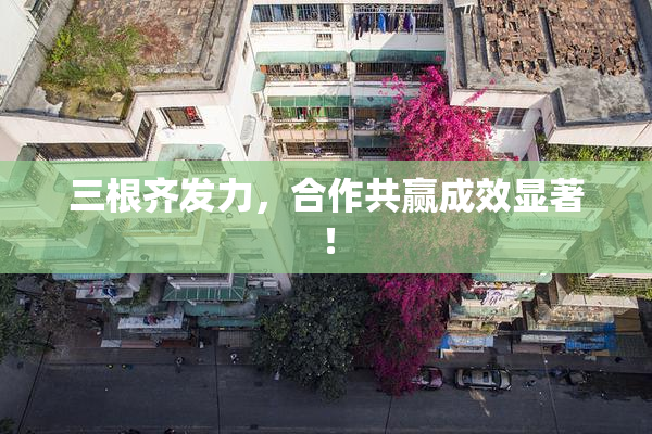 三根齐发力，合作共赢成效显著！