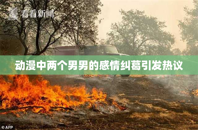 动漫中两个男男的感情纠葛引发热议