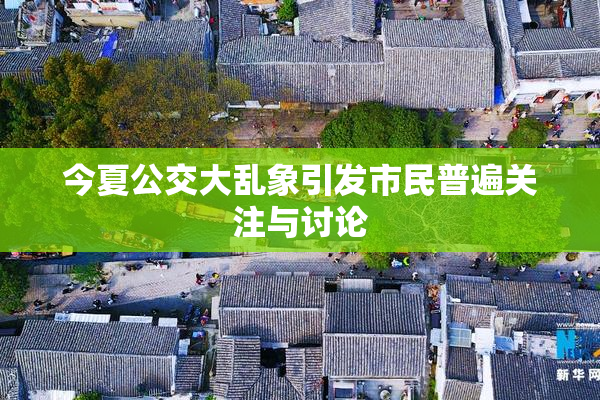 今夏公交大乱象引发市民普遍关注与讨论