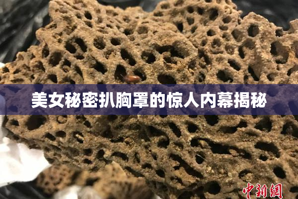 美女秘密扒胸罩的惊人内幕揭秘