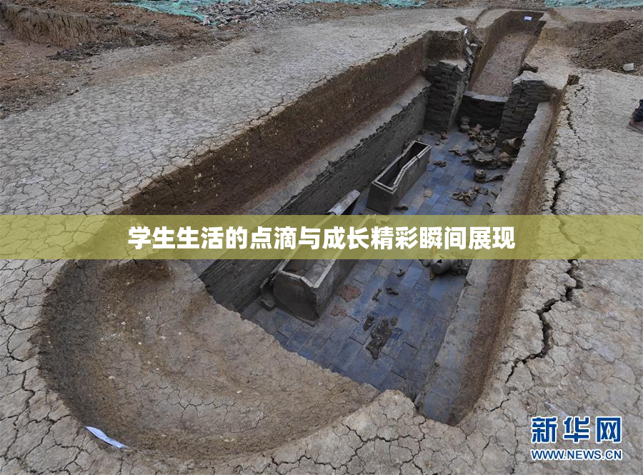 学生生活的点滴与成长精彩瞬间展现