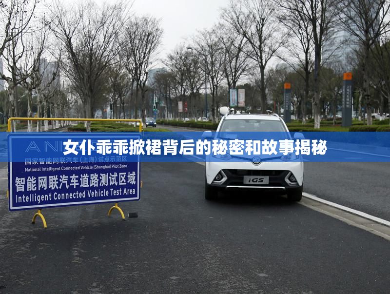 女仆乖乖掀裙背后的秘密和故事揭秘