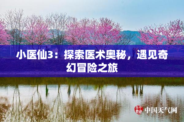 小医仙3：探索医术奥秘，遇见奇幻冒险之旅