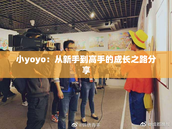 小yoyo：从新手到高手的成长之路分享