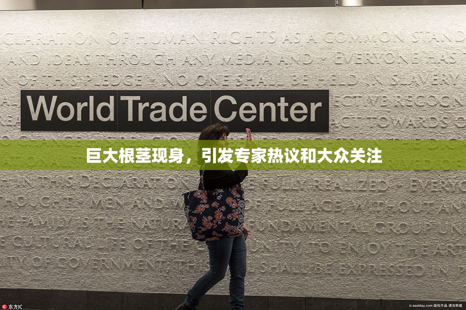 巨大根茎现身，引发专家热议和大众关注