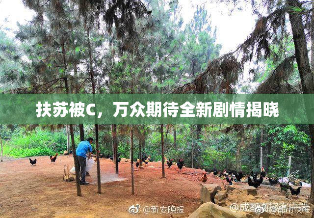 扶苏被C，万众期待全新剧情揭晓