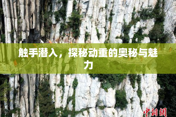 触手潜入，探秘动重的奥秘与魅力