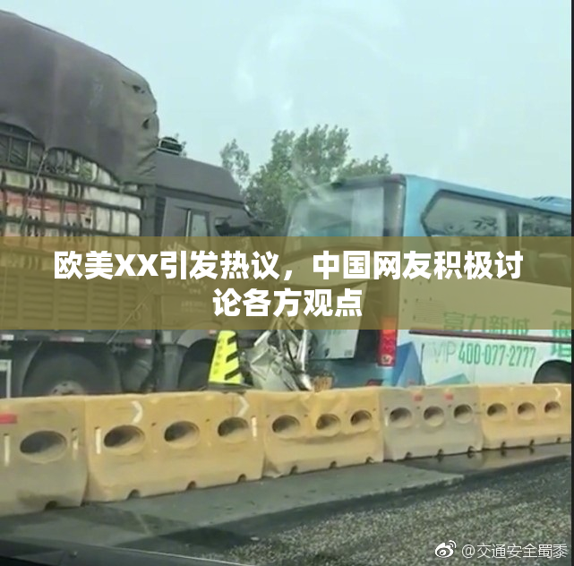 欧美XX引发热议，中国网友积极讨论各方观点
