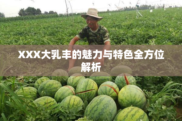 XXX大乳丰的魅力与特色全方位解析