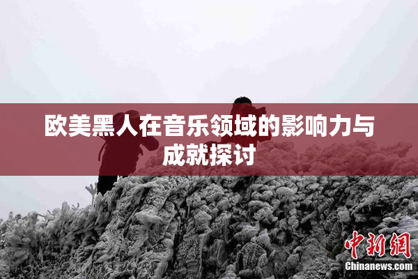 欧美黑人在音乐领域的影响力与成就探讨