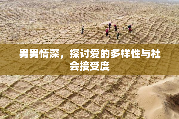 男男情深，探讨爱的多样性与社会接受度