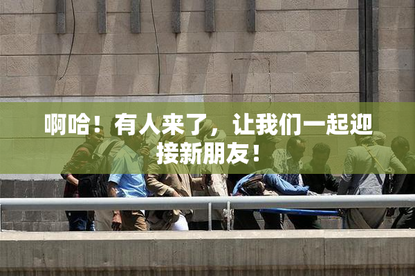 啊哈！有人来了，让我们一起迎接新朋友！