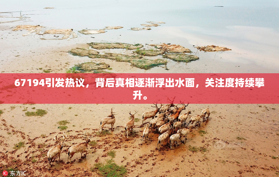 67194引发热议，背后真相逐渐浮出水面，关注度持续攀升。