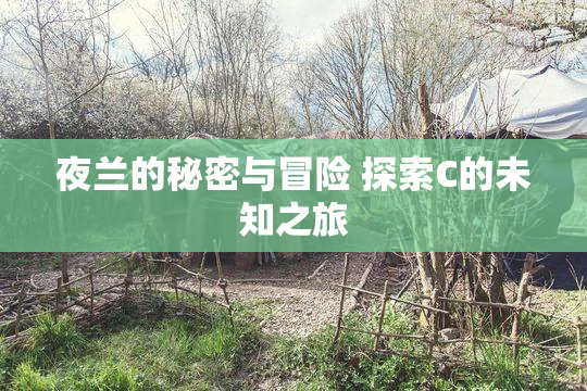 夜兰的秘密与冒险 探索C的未知之旅
