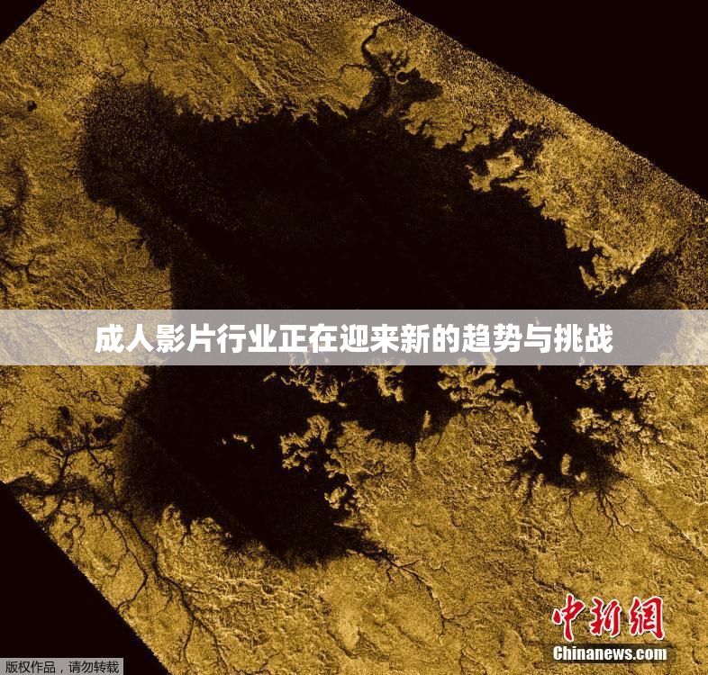 成人影片行业正在迎来新的趋势与挑战