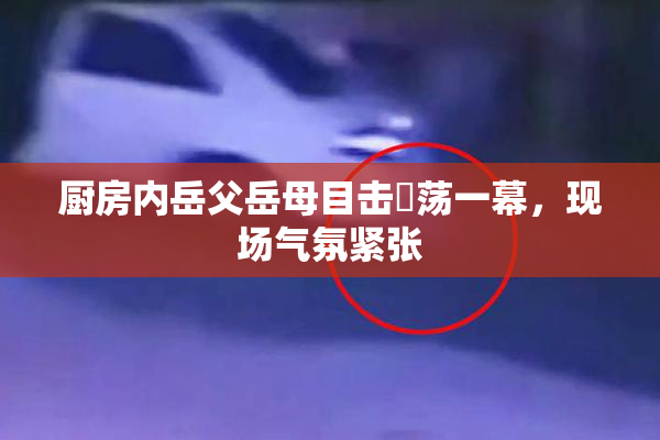 厨房内岳父岳母目击婬荡一幕，现场气氛紧张