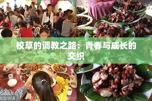 校草的调教之路：青春与成长的交织