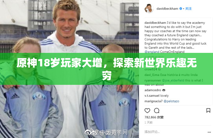 原神18岁玩家大增，探索新世界乐趣无穷