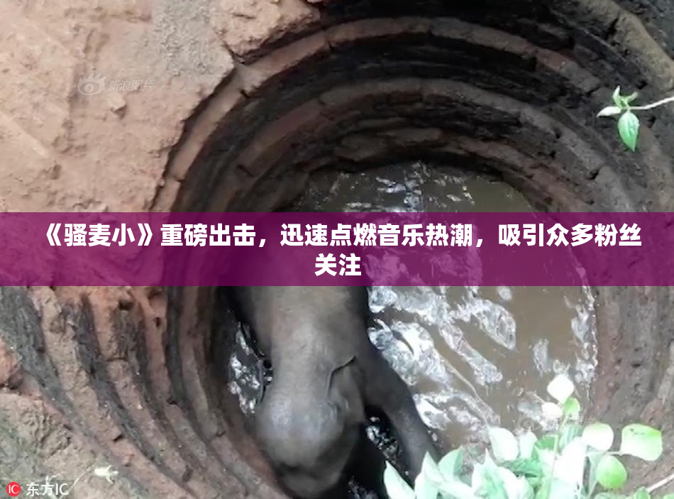 《骚麦小》重磅出击，迅速点燃音乐热潮，吸引众多粉丝关注
