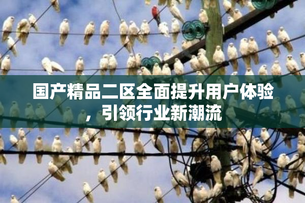 国产精品二区全面提升用户体验，引领行业新潮流