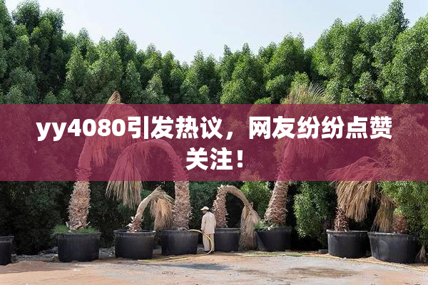 yy4080引发热议，网友纷纷点赞关注！