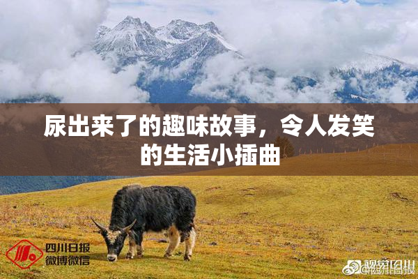 尿出来了的趣味故事，令人发笑的生活小插曲