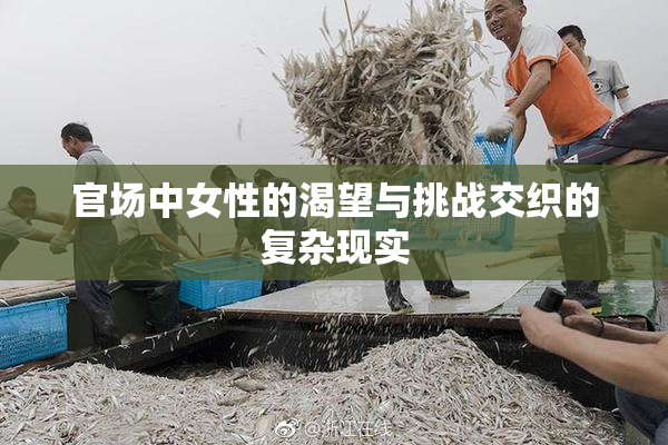官场中女性的渴望与挑战交织的复杂现实