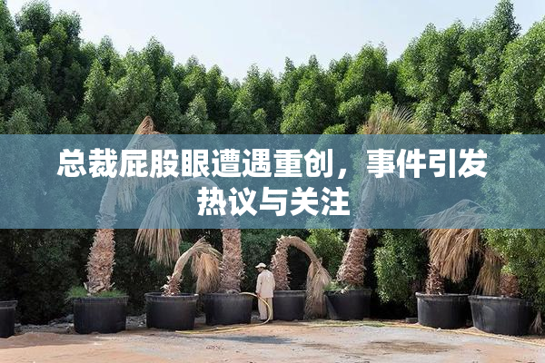总裁屁股眼遭遇重创，事件引发热议与关注