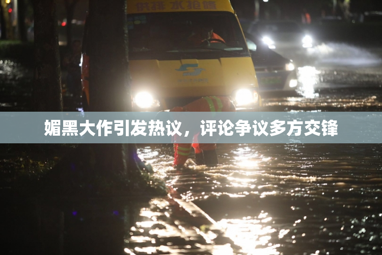 媚黑大作引发热议，评论争议多方交锋