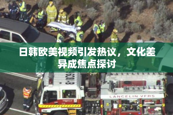 日韩欧美视频引发热议，文化差异成焦点探讨