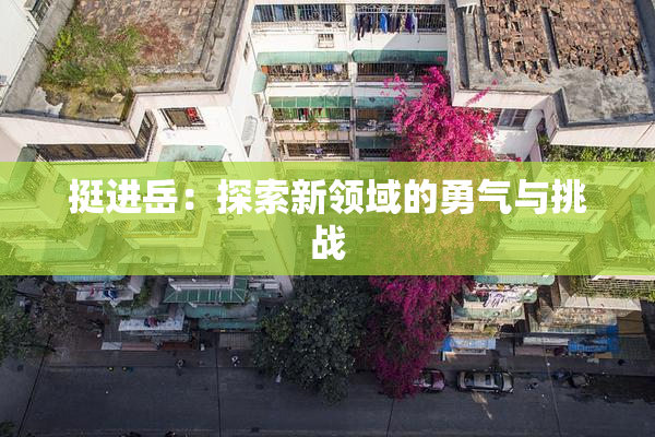 挺进岳：探索新领域的勇气与挑战