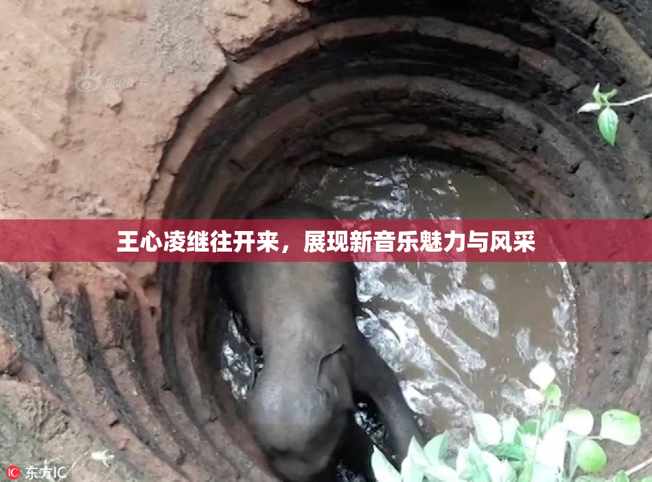 王心凌继往开来，展现新音乐魅力与风采
