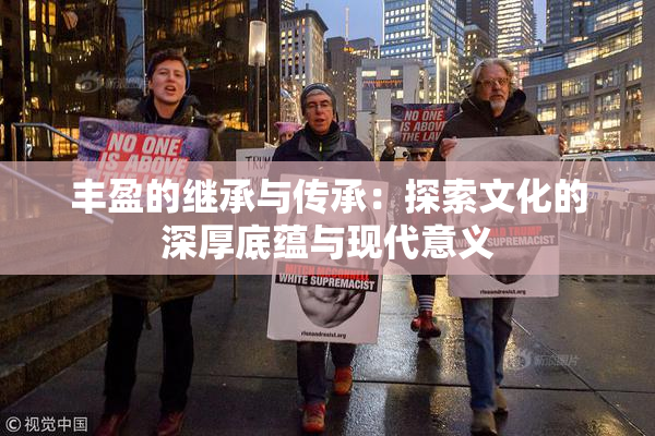 丰盈的继承与传承：探索文化的深厚底蕴与现代意义