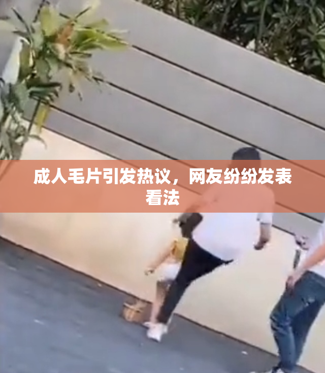 成人毛片引发热议，网友纷纷发表看法