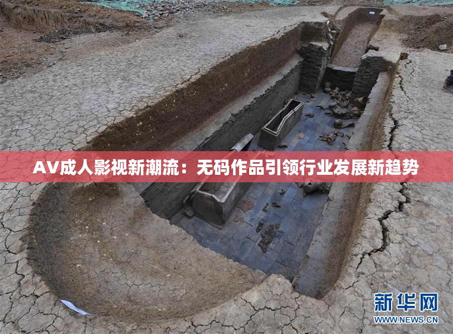 AV成人影视新潮流：无码作品引领行业发展新趋势