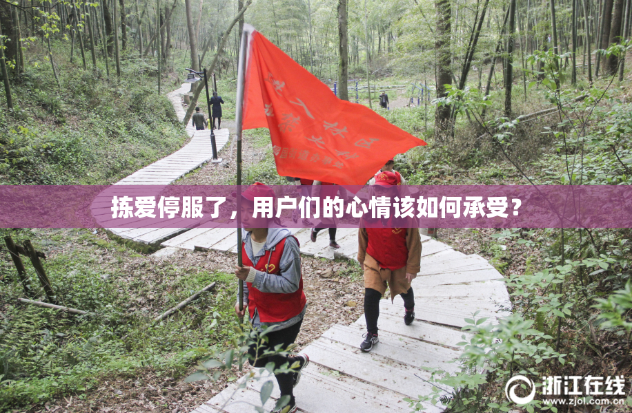 拣爱停服了，用户们的心情该如何承受？