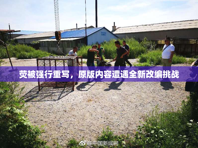 荧被强行重写，原版内容遭遇全新改编挑战