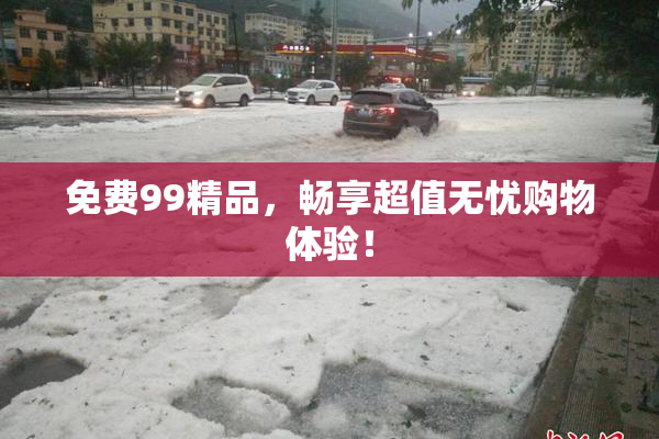 免费99精品，畅享超值无忧购物体验！