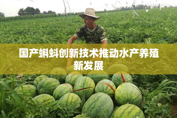 国产蝌蚪创新技术推动水产养殖新发展