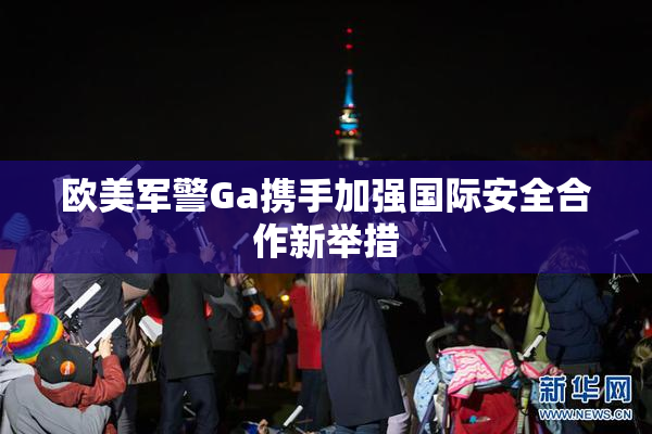 欧美军警Ga携手加强国际安全合作新举措