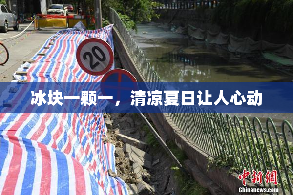 冰块一颗一，清凉夏日让人心动