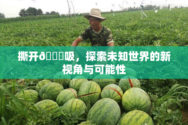 撕开👙吸，探索未知世界的新视角与可能性