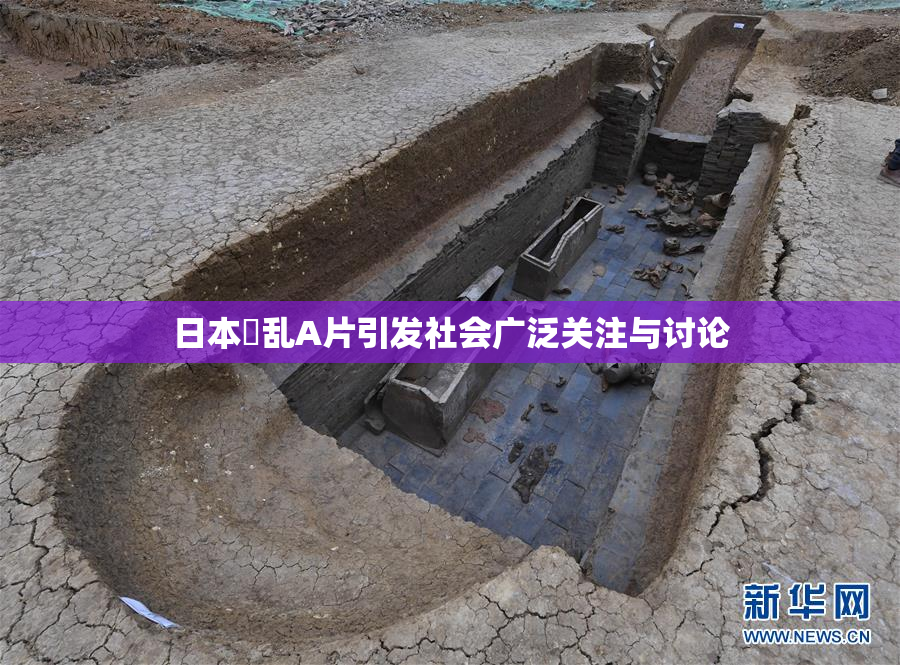 日本婬乱A片引发社会广泛关注与讨论