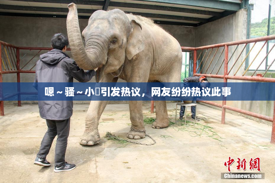 嗯～骚～小婬引发热议，网友纷纷热议此事