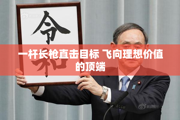 一杆长枪直击目标 飞向理想价值的顶端