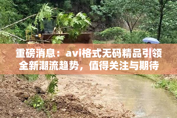重磅消息：avi格式无码精品引领全新潮流趋势，值得关注与期待