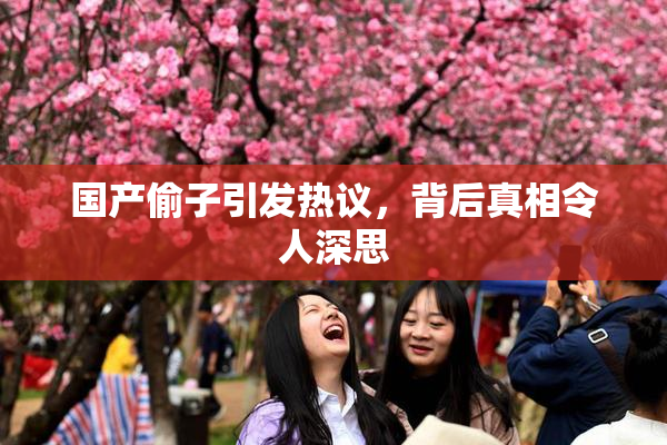 国产偷子引发热议，背后真相令人深思