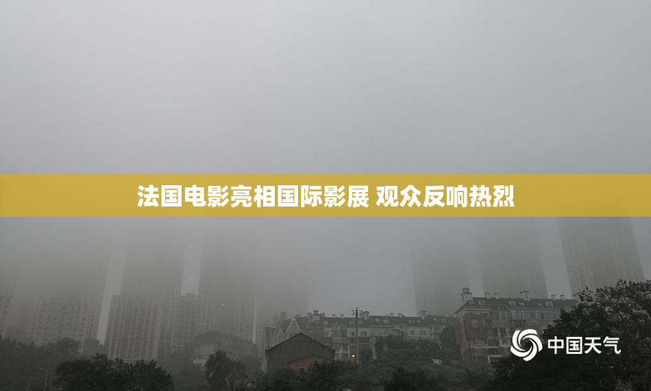 法国电影亮相国际影展 观众反响热烈